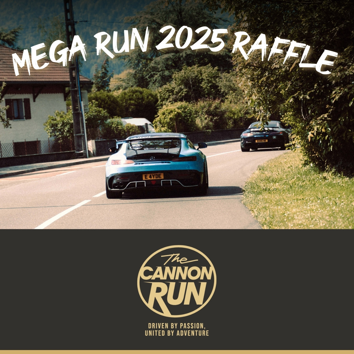 THE MEGA RUN 2025 RAFFLE